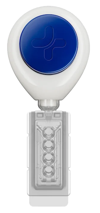 Tasso Mini